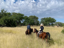 Namibia-Namibia-Central Namibia Game Ride